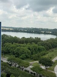 The Tapestry (D18), Condominium #574579961